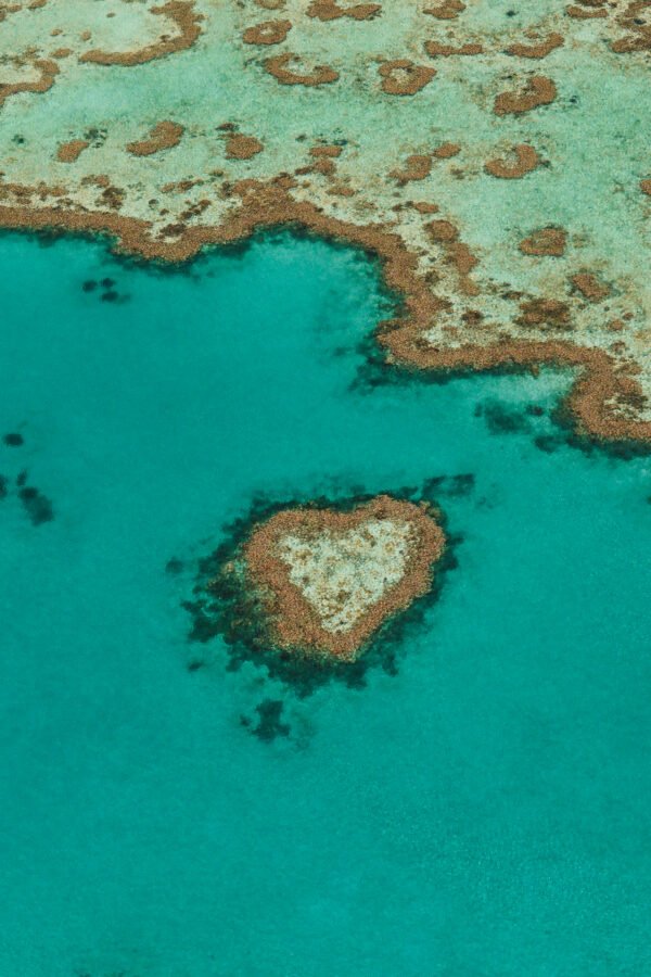 Corazón de Coral