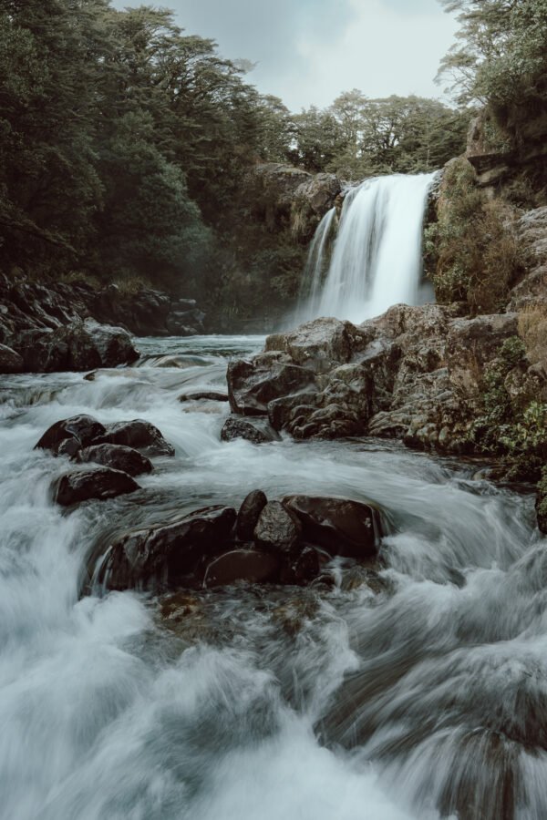 Laguna prohibida